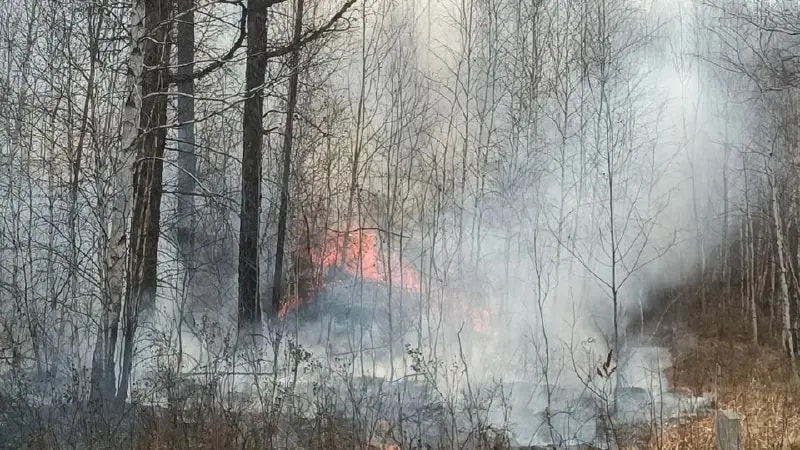 Южноуральцам напомнили о штрафах за сжигание травы и мусора