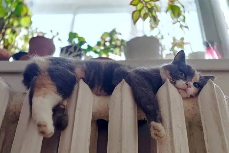 Отопительный сезон в Челябинске стартует 5 октября