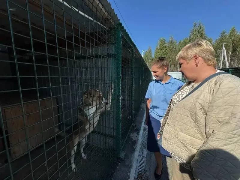 Прокуратура проверила приют «Остров надежды» в Сосновском районе