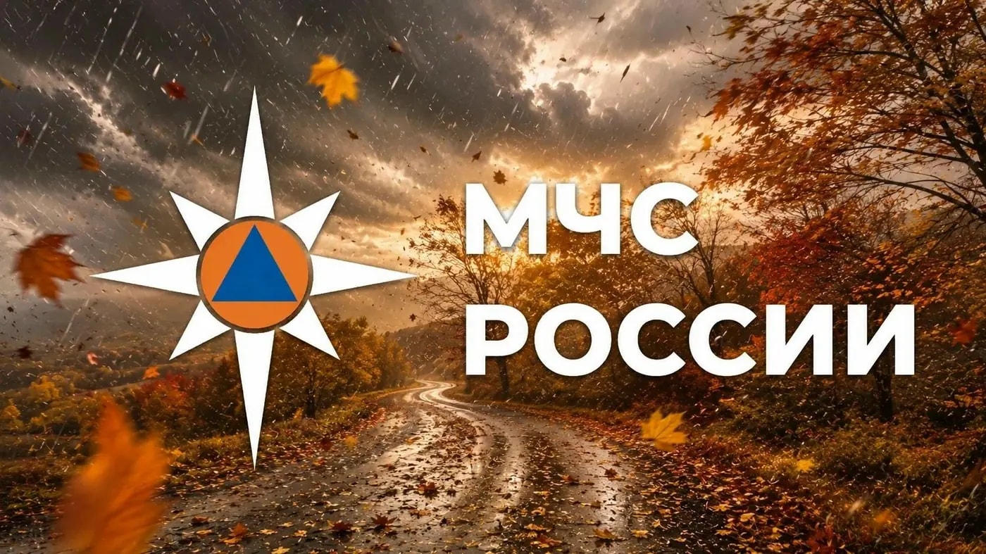 Штормовое предупреждение: В Челябинской области ожидается налипание мокрого снега