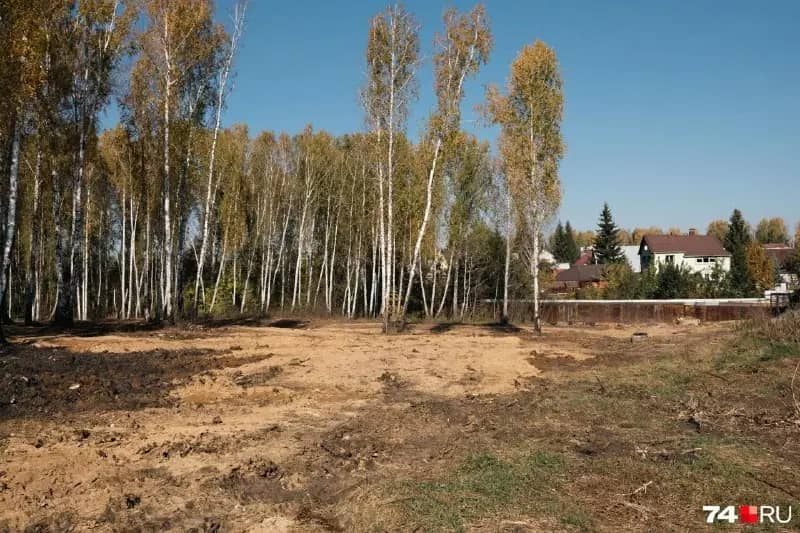 Жители «Залесья» обеспокоены вырубкой леса у Шершневского водохранилища