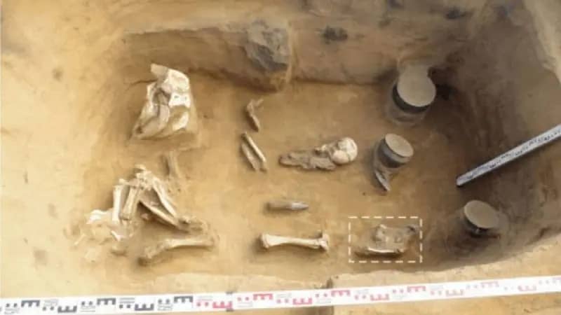 Археологи нашли в Пластовском районе древнюю желтую краску