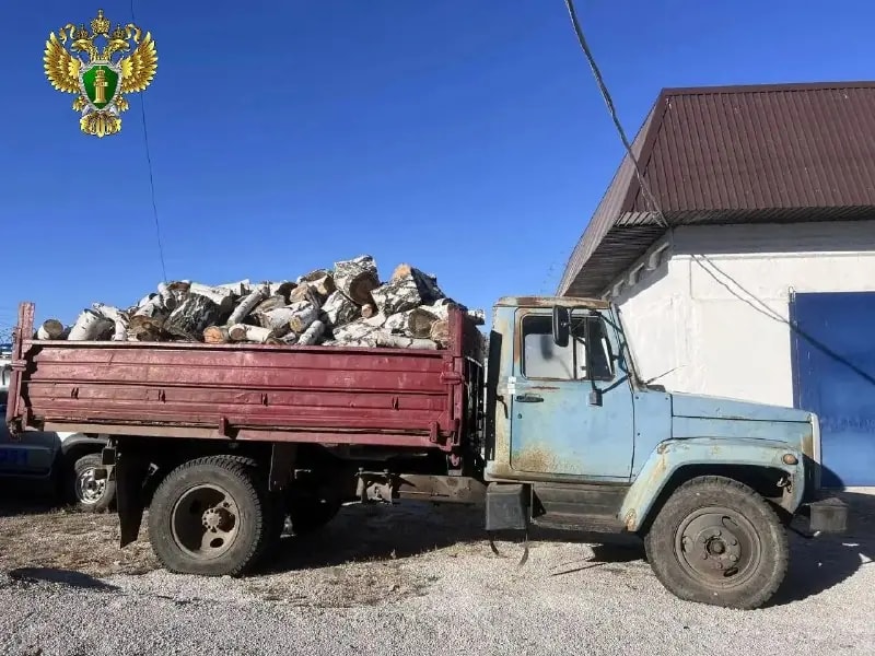 Житель Варненского района осужден за незаконную рубку берез