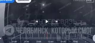 В Кыштыме камеры засняли пятерых диких кабанов