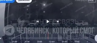 В Кыштыме камеры засняли пятерых диких кабанов