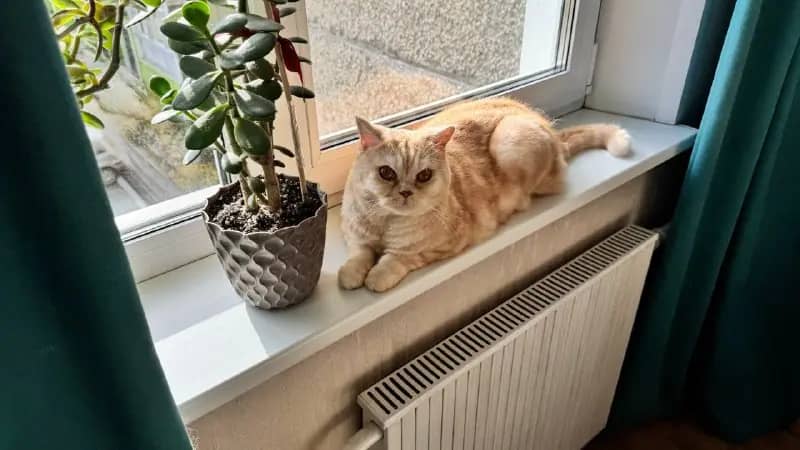 Тепло подали в 99,98% жилых домов Челябинской области