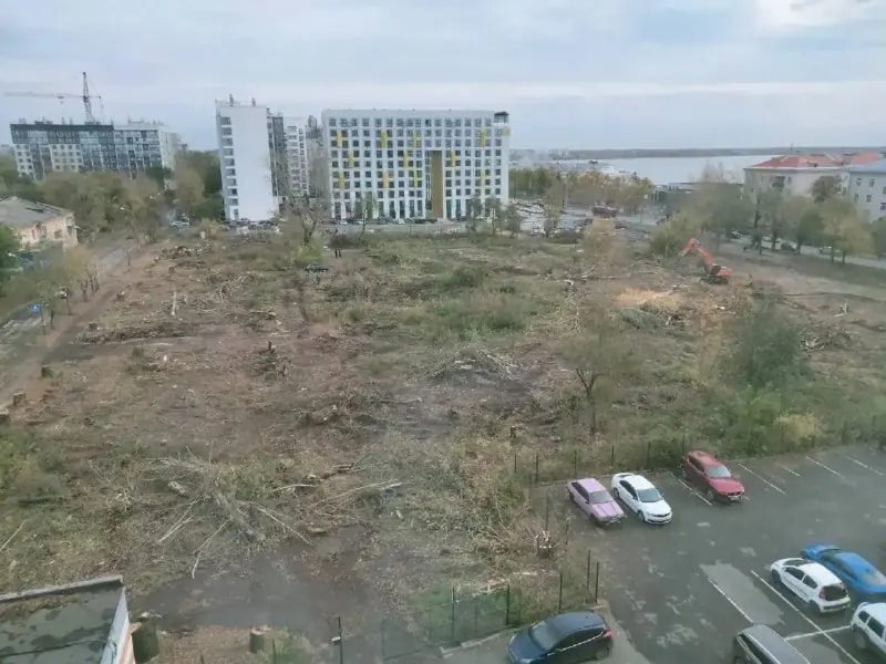 В Ленинском районе Челябинска вырубили сквер