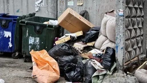 В Челябинске штрафуют до 250 тысяч рублей за мусор на контейнерных площадках