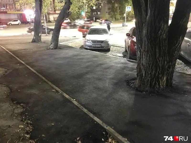 В Челябинске подрядчик закатал корни деревьев в асфальт