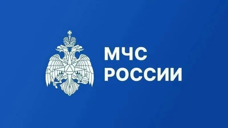 В Челябинской области 19 октября ожидаются порывы ветра до 22 м/с