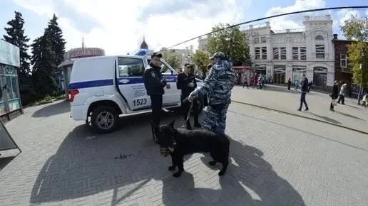 Полиция раскрыла 115 наркопреступлений в ходе акции в Челябинской области